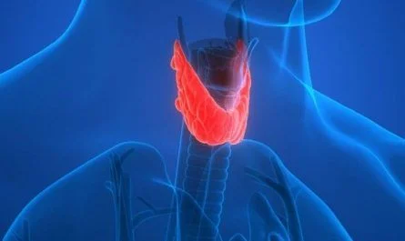Zinc hipotiroidismo y función tiroidea