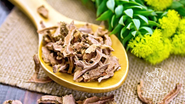 Beneficios de Rhodiola en hipotiroidismo y tiroiditis Hashimoto